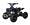 Квадроцикл MOTAX ATV CAT 50 E-START