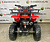 Квадроцикл MOWGLI MINI HARDY 4T