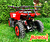 Квадроцикл MOWGLI MINI HARDY 4T