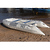 Лодка BADGER HD 430 AL