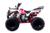 Квадроцикл WELS THUNDER 125		
