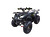 Квадроцикл WELS THUNDER 150		