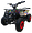 Квадроцикл MOTAX GRIZLIK X-16 ES BW (эл/стартер)