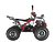 Квадроцикл WELS THUNDER EVO X 125		