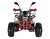 Квадроцикл WELS THUNDER EVO X 125		