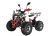 Квадроцикл WELS THUNDER EVO X 125		