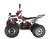 Квадроцикл WELS THUNDER EVO X 125		