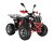 Квадроцикл WELS THUNDER EVO X 125		