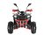 Квадроцикл WELS THUNDER EVO X 125		