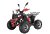 Квадроцикл WELS THUNDER EVO X 125		