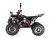 Квадроцикл WELS THUNDER EVO X 125		