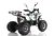 Квадроцикл WELS THUNDER EVO X 125		
