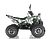 Квадроцикл WELS THUNDER EVO X 125		