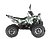 Квадроцикл WELS THUNDER EVO X 125		