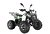 Квадроцикл WELS THUNDER EVO X 125		