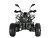 Квадроцикл WELS THUNDER EVO X 125		