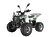 Квадроцикл WELS THUNDER EVO X 125		