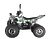 Квадроцикл WELS THUNDER EVO X 125		