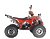 Квадроцикл WELS THUNDER EVO X 125		