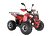 Квадроцикл WELS THUNDER EVO X 125		