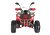 Квадроцикл WELS THUNDER EVO X 125		