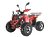 Квадроцикл WELS THUNDER EVO X 125		