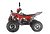 Квадроцикл WELS THUNDER EVO X 125		