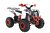 Квадроцикл WELS THUNDER EVO 125		