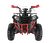 Квадроцикл WELS THUNDER EVO X2 200
