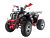 Квадроцикл WELS THUNDER EVO X2 200