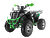 Квадроцикл WELS THUNDER EVO X2 200