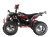 Квадроцикл WELS THUNDER EVO X2 200