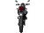Мотоцикл RACER RC250GY-C2 PANTHER