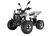 Квадроцикл WELS THUNDER EVO X 125		